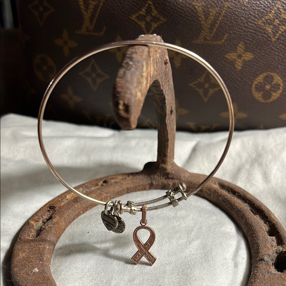 Alex and Ani Silver Ribbon Charm Bracelet